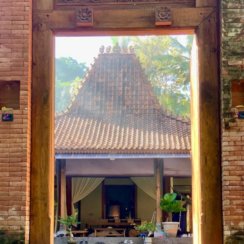 Ancient Vibes Shakti