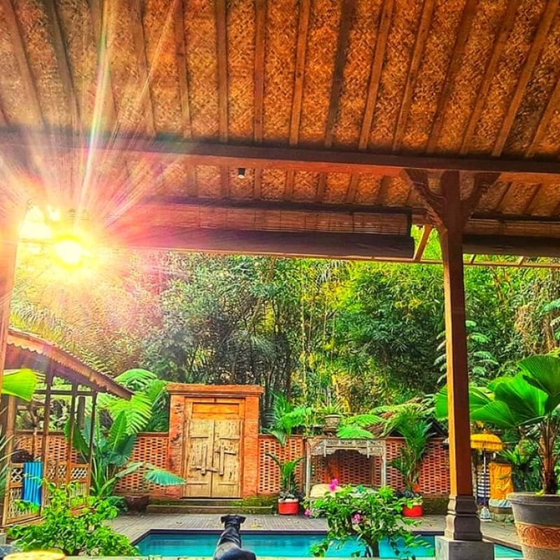 WhatsApp Image 2025-10-02 at 16.23.13